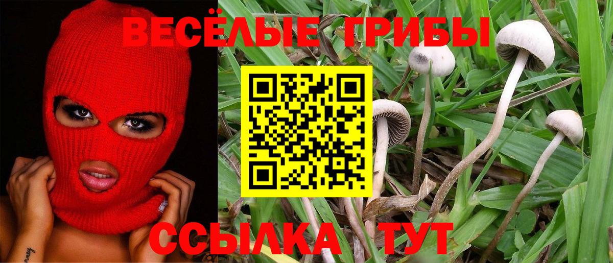 Псилоцибиновые грибы ЛСД Печора