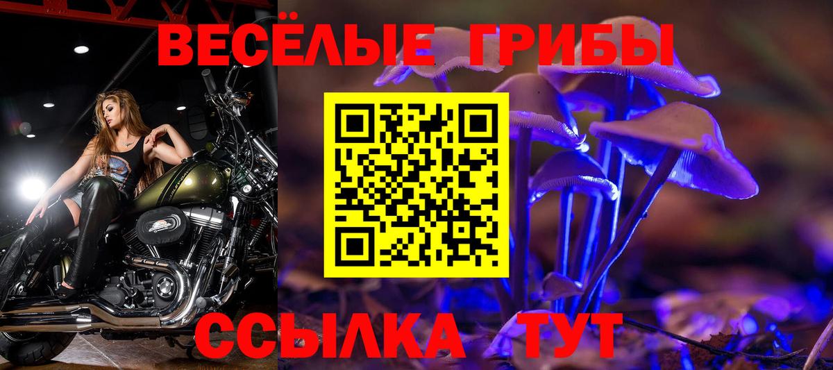 Псилоцибиновые грибы ЛСД  Псилоцибиновые грибы GOLDEN TEACHER  Вход с VPN  Печора 